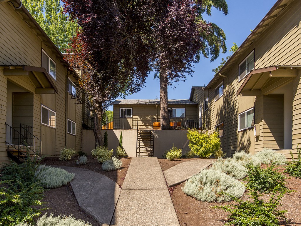 Gladstone Forest landscaping