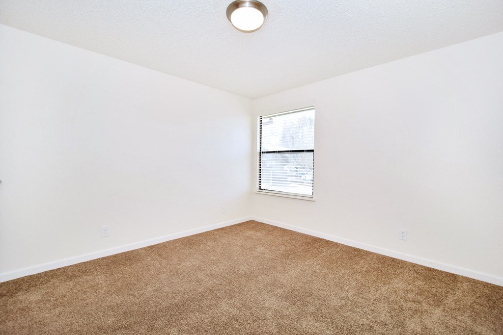 an empty room with carpet and a window