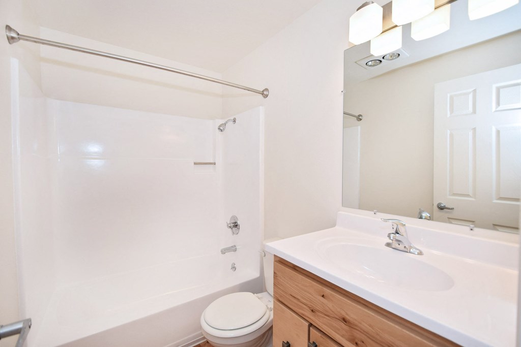 a bathroom with a sink and a shower and a toilet