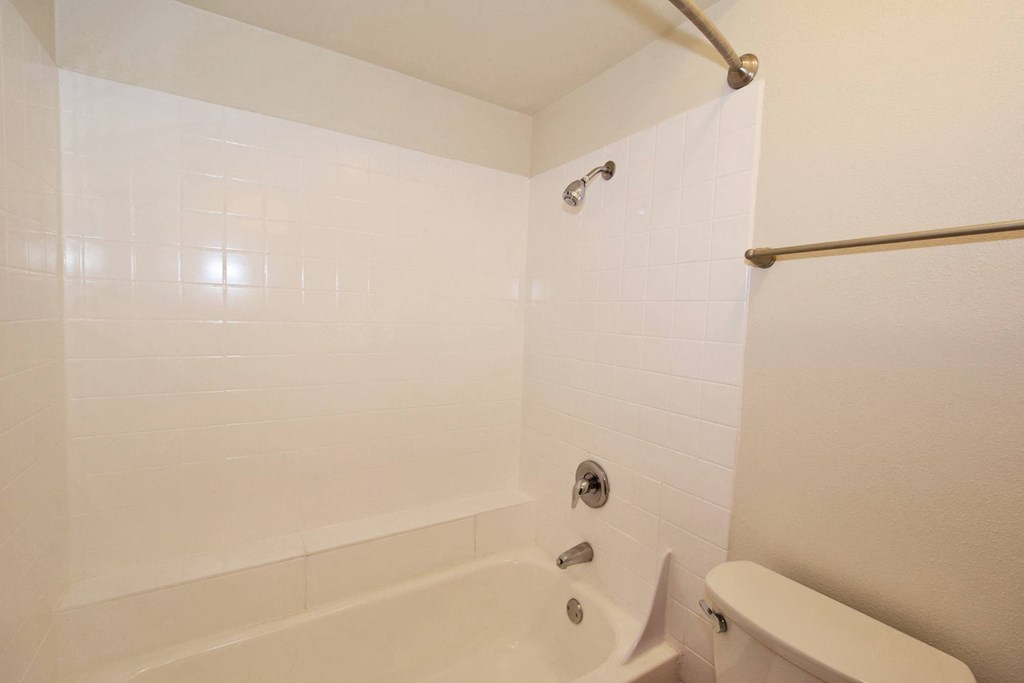 a bathroom with a toilet and a bathtub