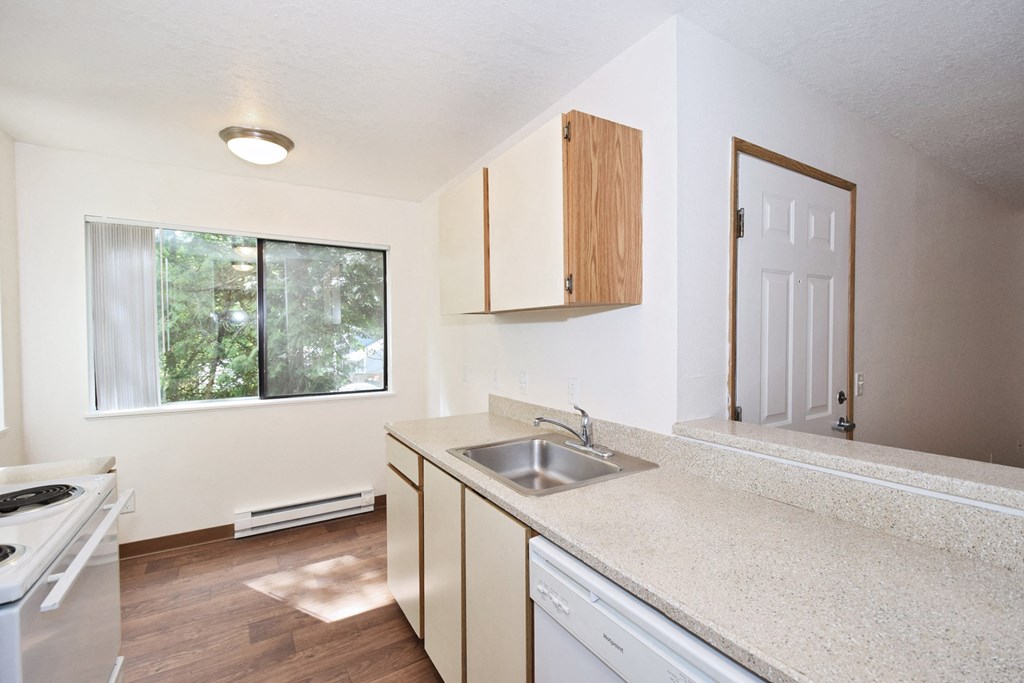 a kitchen with a sink and a stove