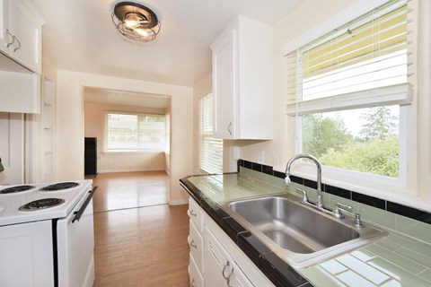 a kitchen with a sink and a stove and a window