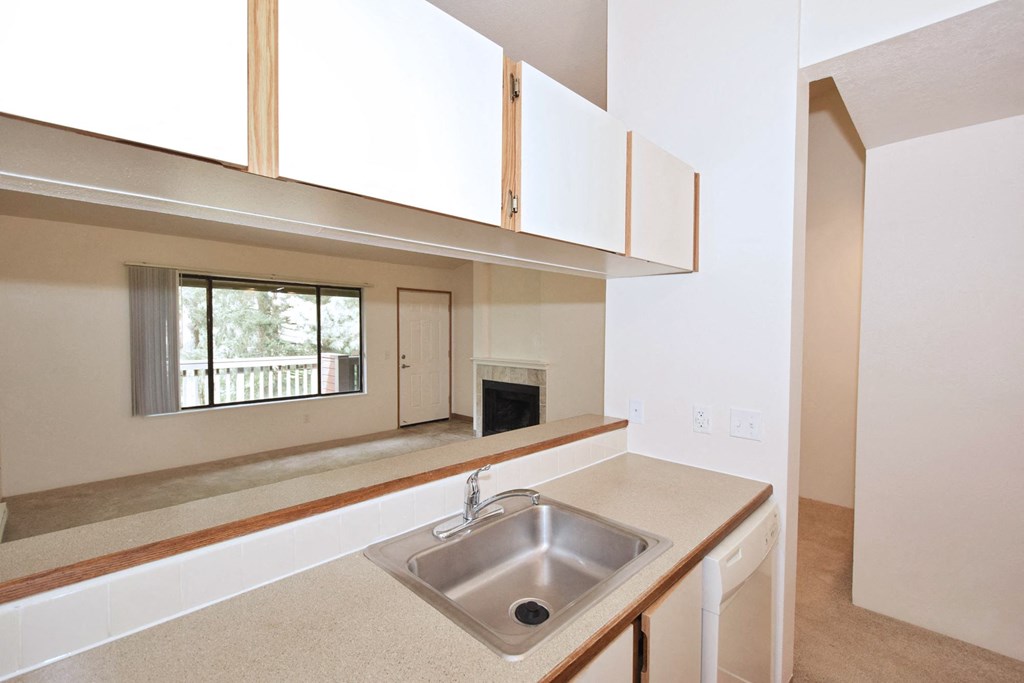 a kitchen with a sink and a window