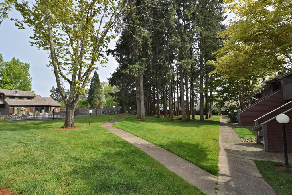 a park with grass and trees