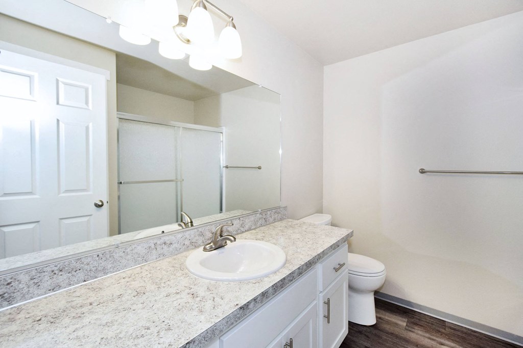 a bathroom with a sink and a toilet and a mirror