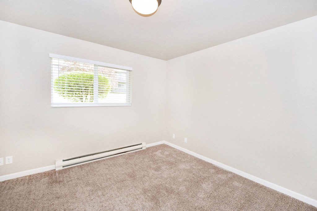 an empty room with carpet and a window