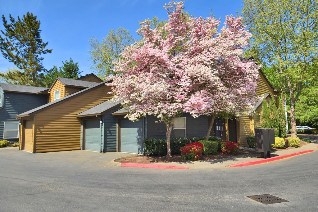 a house with a flowering tree in front of it