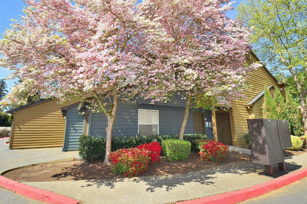 a house with a flowering tree in front of it
