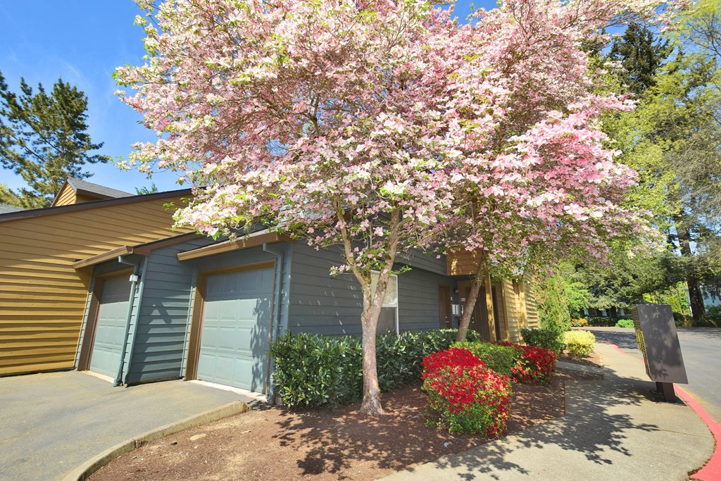 a tree in front of a garage door of a house
