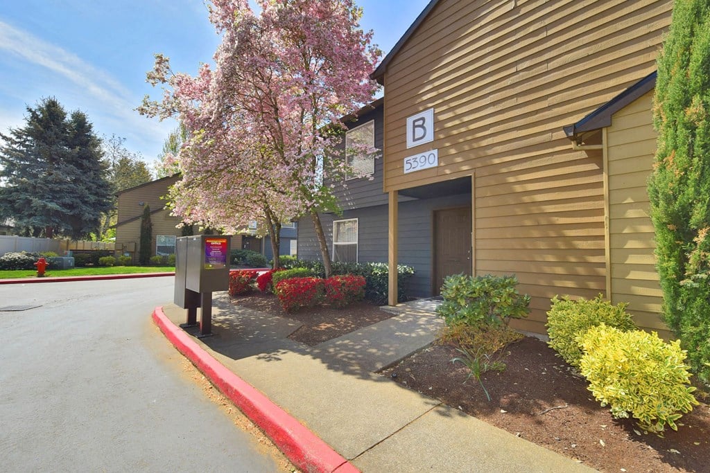 the sidewalk in front of a building with a parking meter