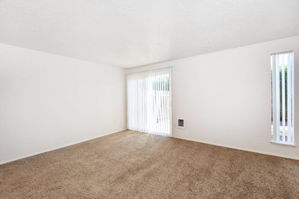 the spacious living room of an apartment with carpet and a window