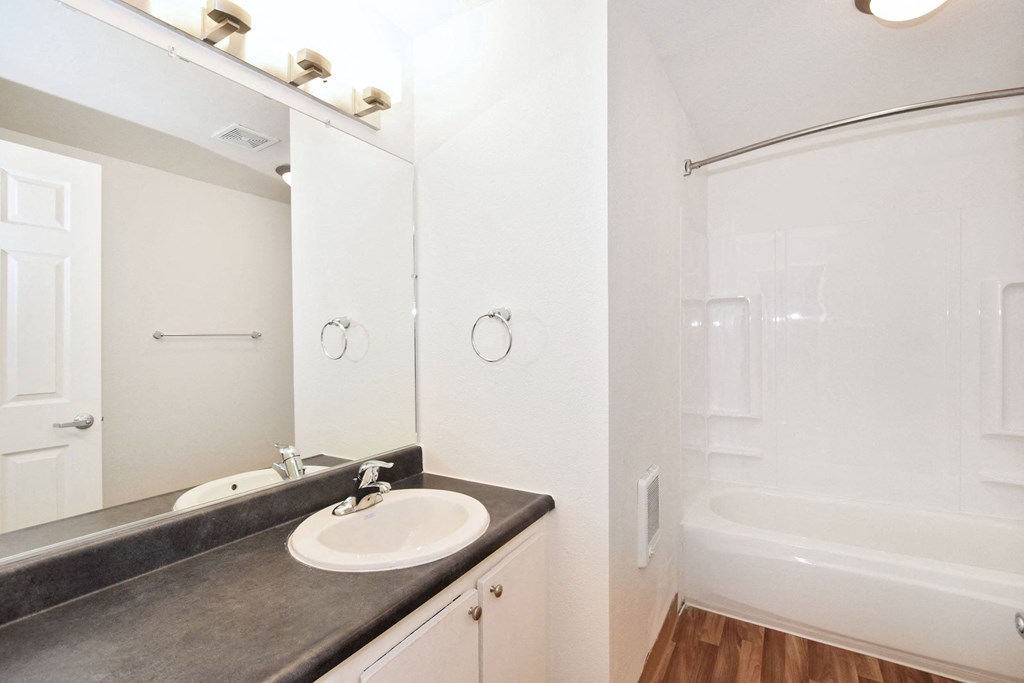 a bathroom with a sink and a shower and a mirror