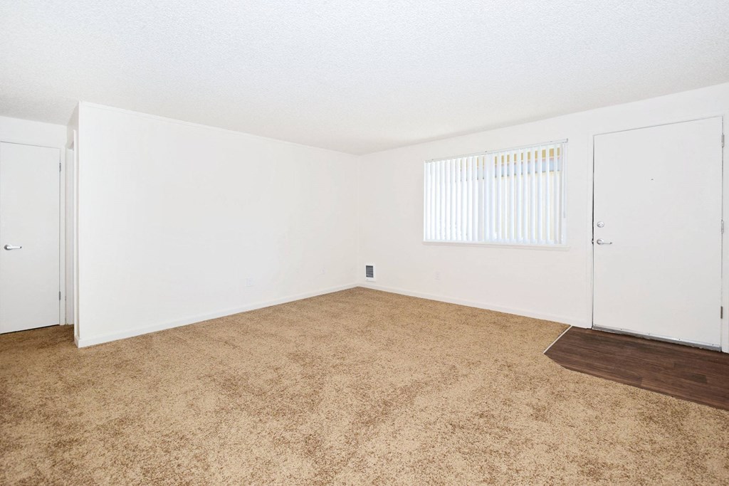 an empty living room with carpet and a window