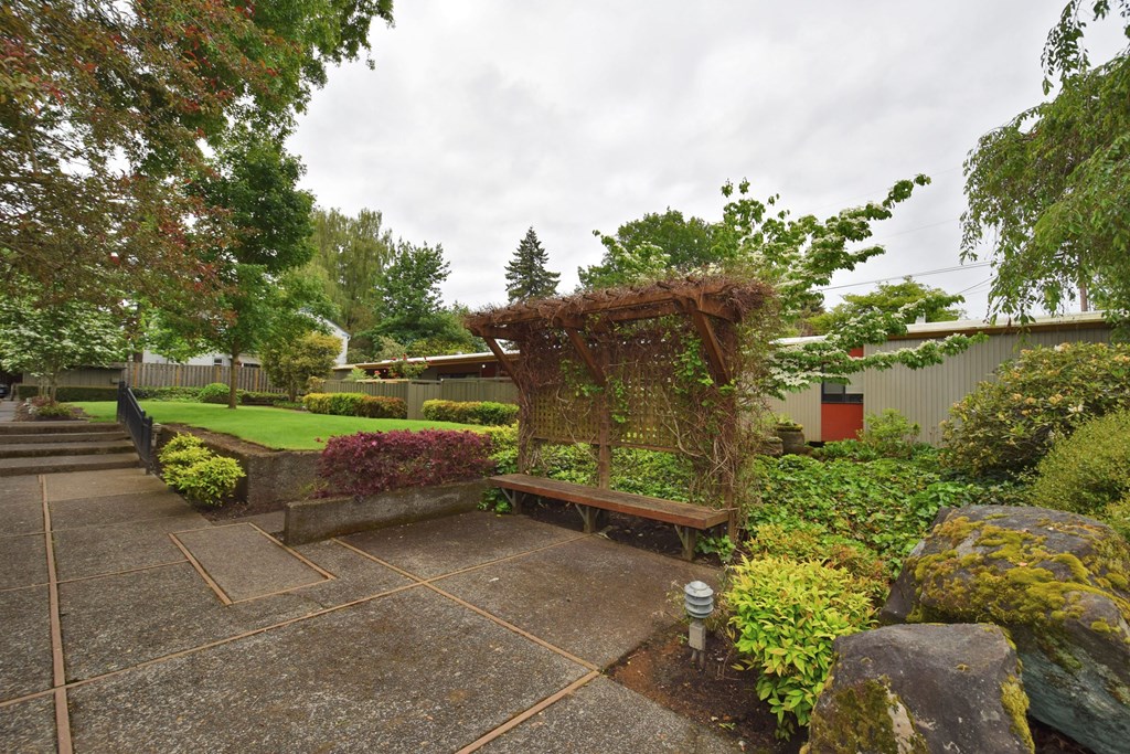 a garden with a wooden bench and a pergola
