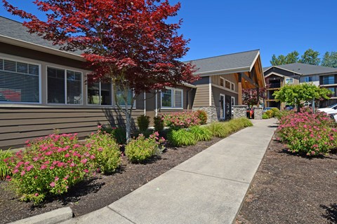 A red tree in front of a house.