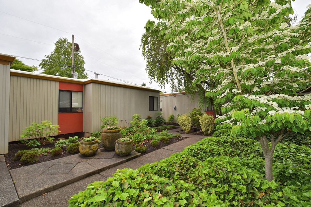 the backyard has a garden and a house with a red door