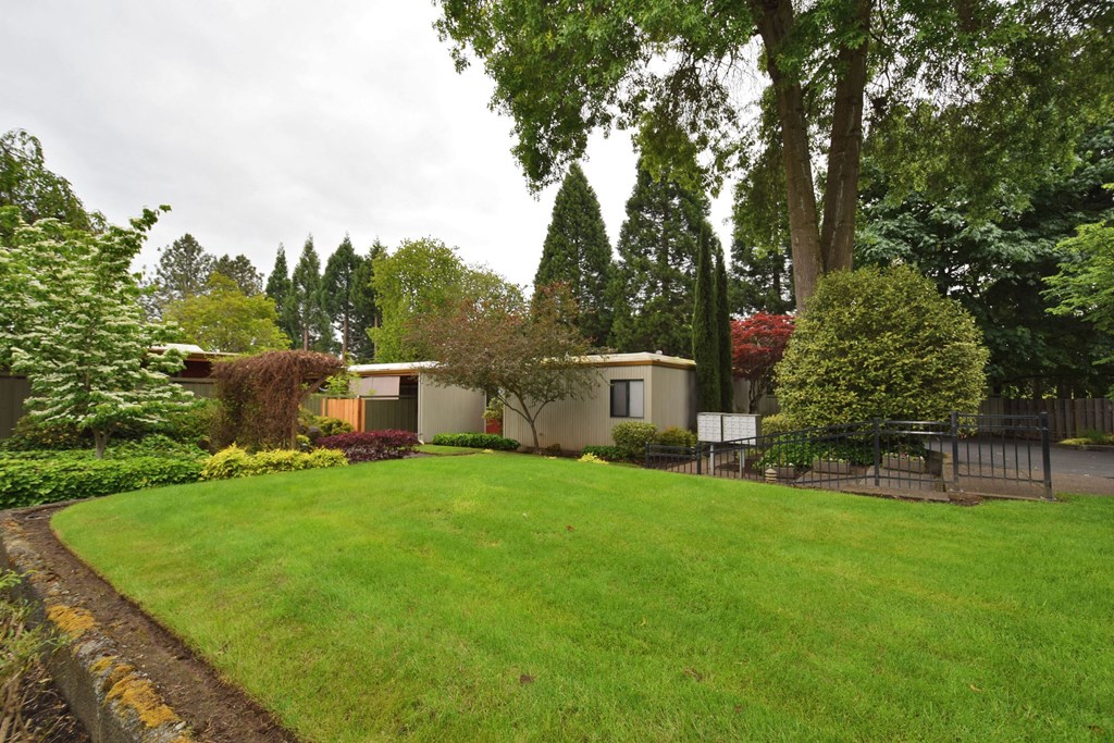 a house with a yard and a lawn in front of it