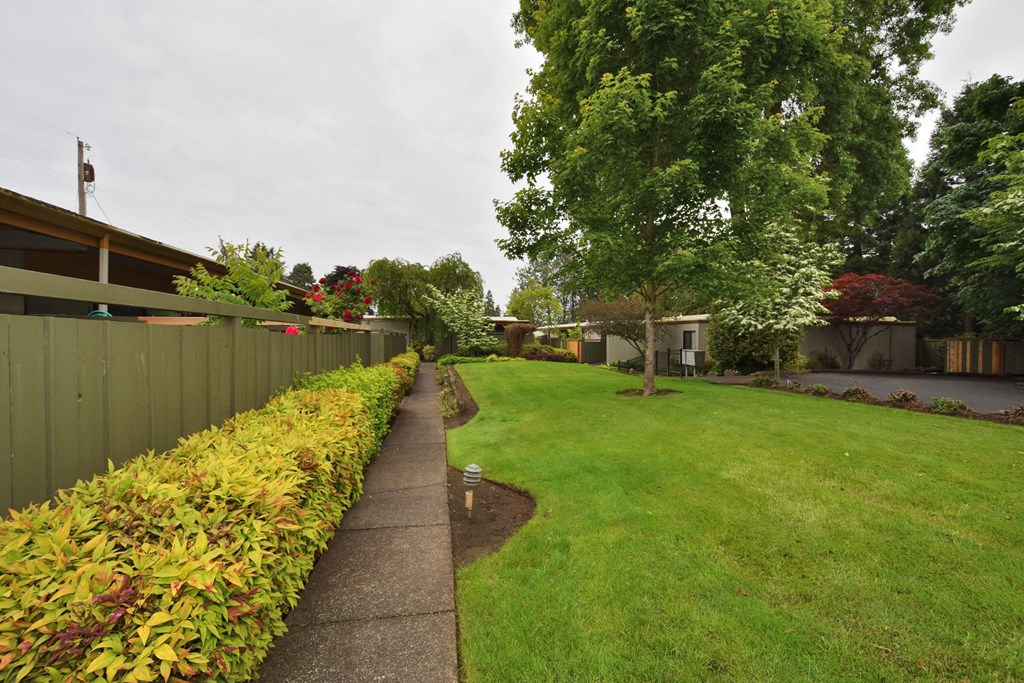 a backyard with a grass lawn and a sidewalk     and a fence