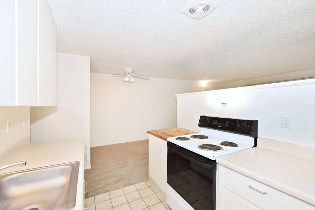 a white kitchen with a stove and a sink