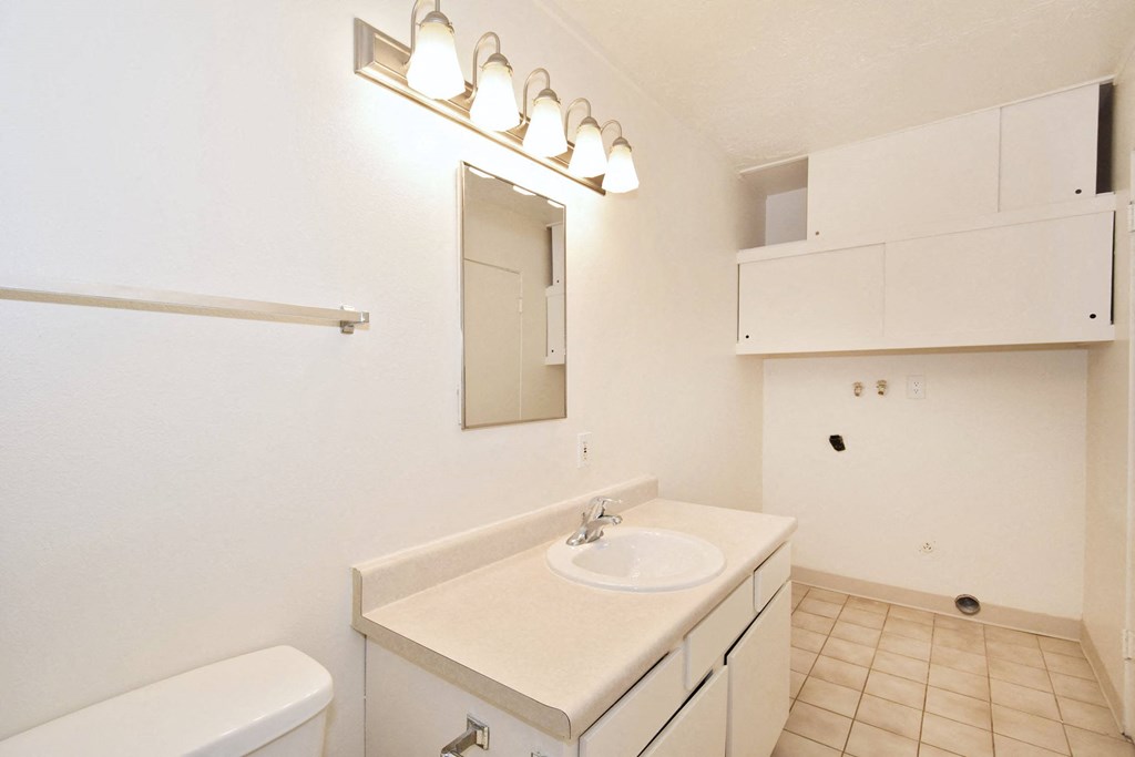 a bathroom with a sink and a mirror and a toilet