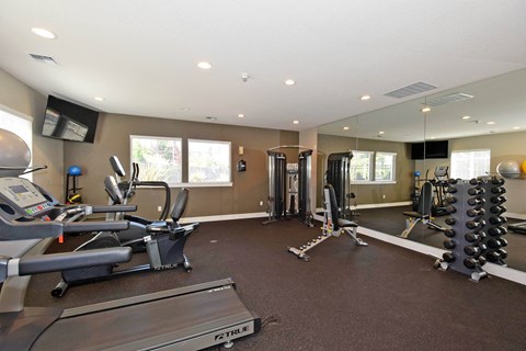 A gym with treadmills, weights, and exercise equipment.