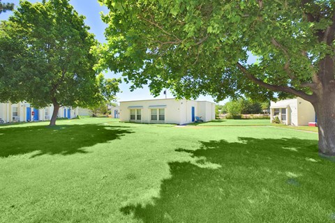 a yard in front of a house with trees