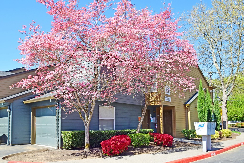 a house with a pink flowering tree in front of it