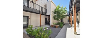 A patio area with a bench and a tree.