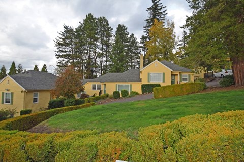 Piccolo Collina view across field