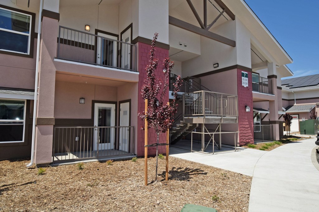 A building with a red flowering tree in front.