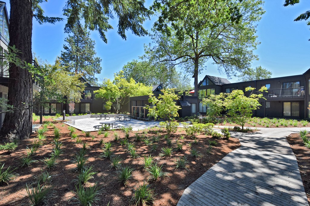 timberwood landscape