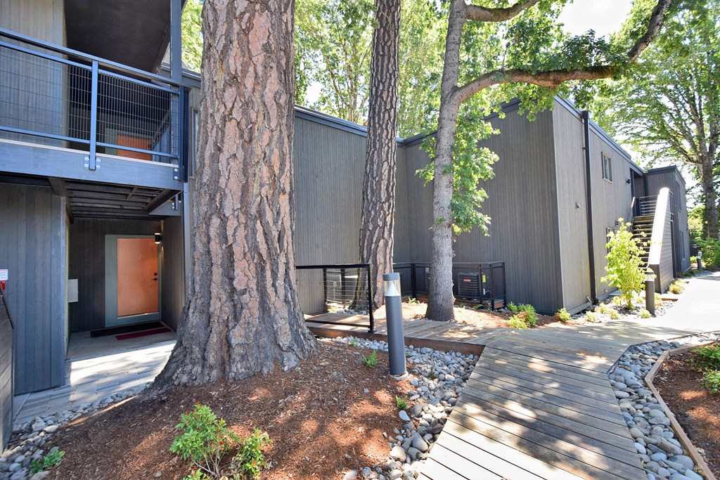 timberwood walkway landscape