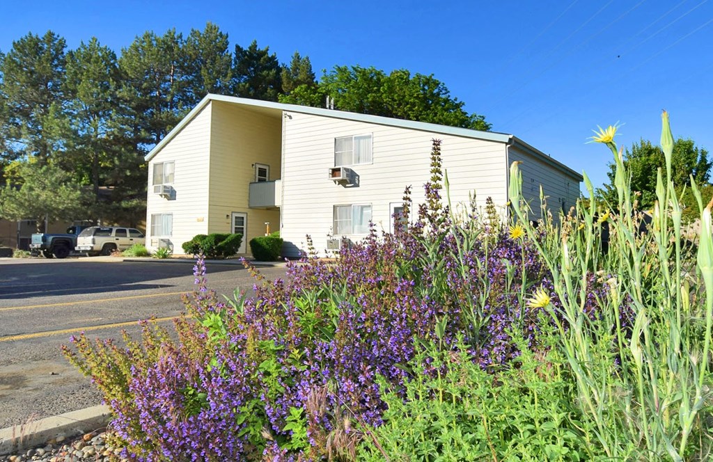 A yellow building with a green lawn in front.