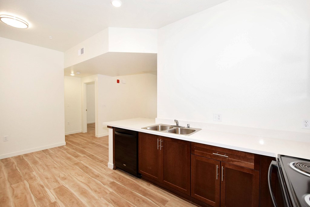 A kitchen with a sink and a dishwasher.