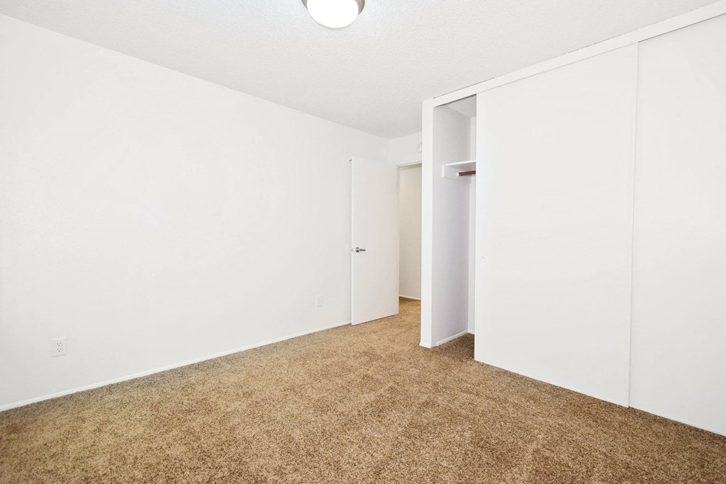 a bedroom with white walls and carpet and a closet