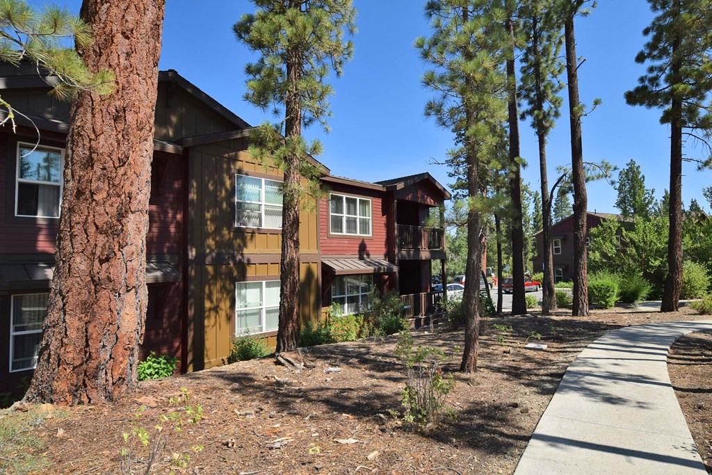 our apartments are located in a wooded area next to a sidewalk