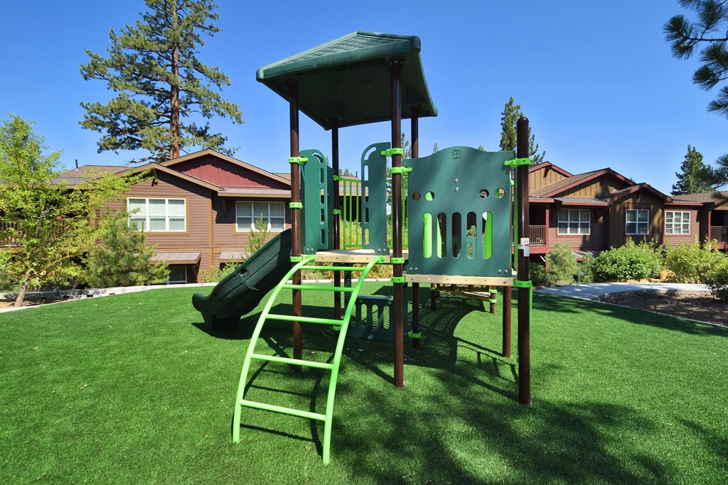 a playground with a green playset and a tall ladder