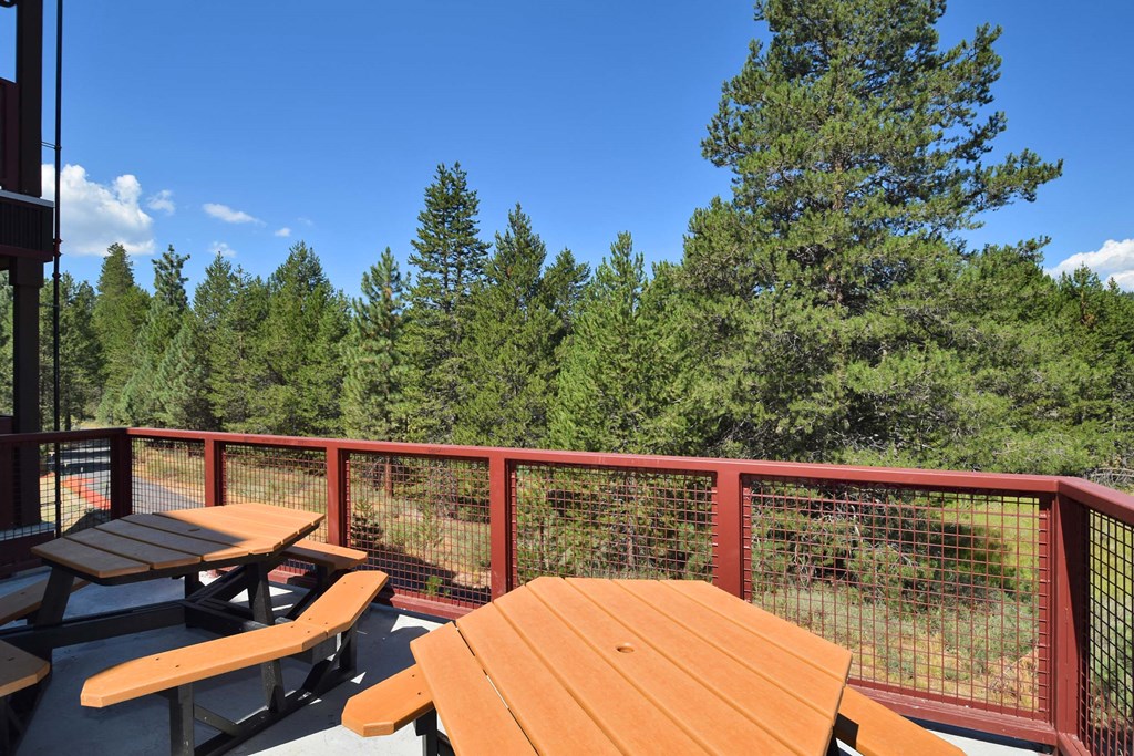 picnic tables on the deck of a cabin with trees