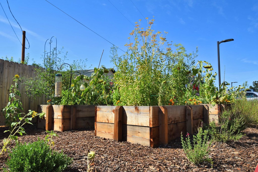 a raised garden bed made from reclaimed wood
