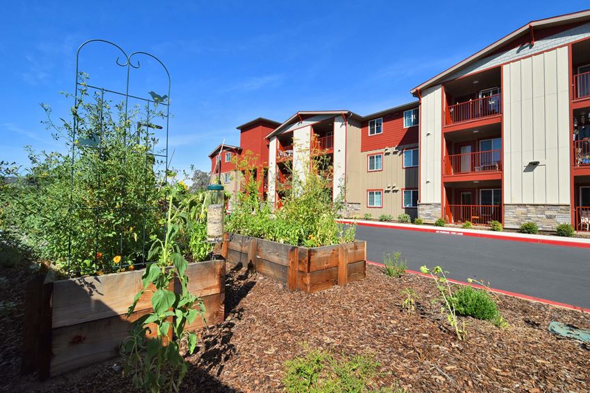 Lone Oak Senior Apartments, 10584 Broken Oak Court, Penn Valley, CA RentCafe