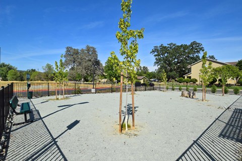 a park with trees and a bench in front of a fence