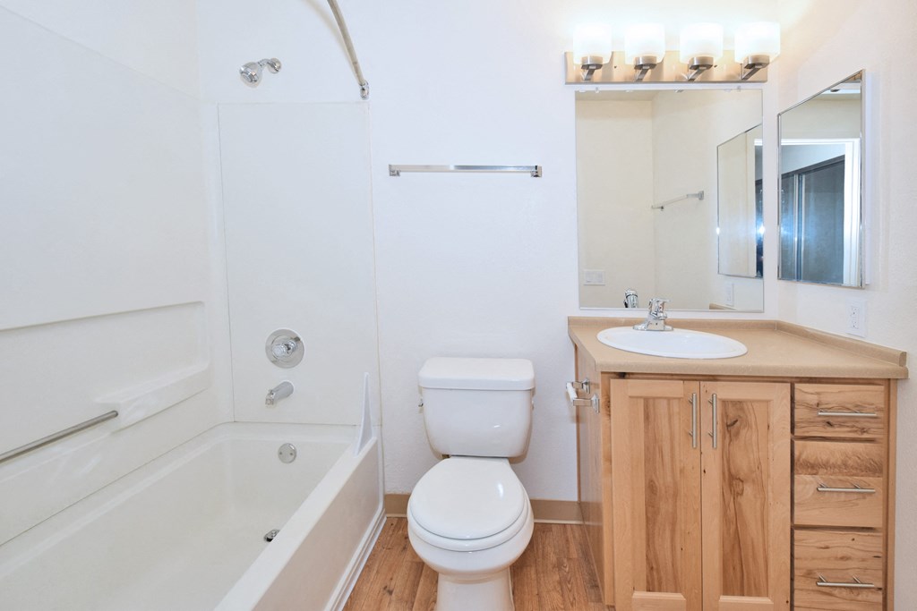 a bathroom with a toilet and a tub and a sink