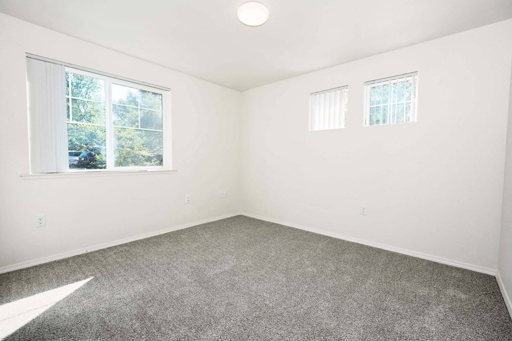 a bedroom with two windows and a carpeted floor