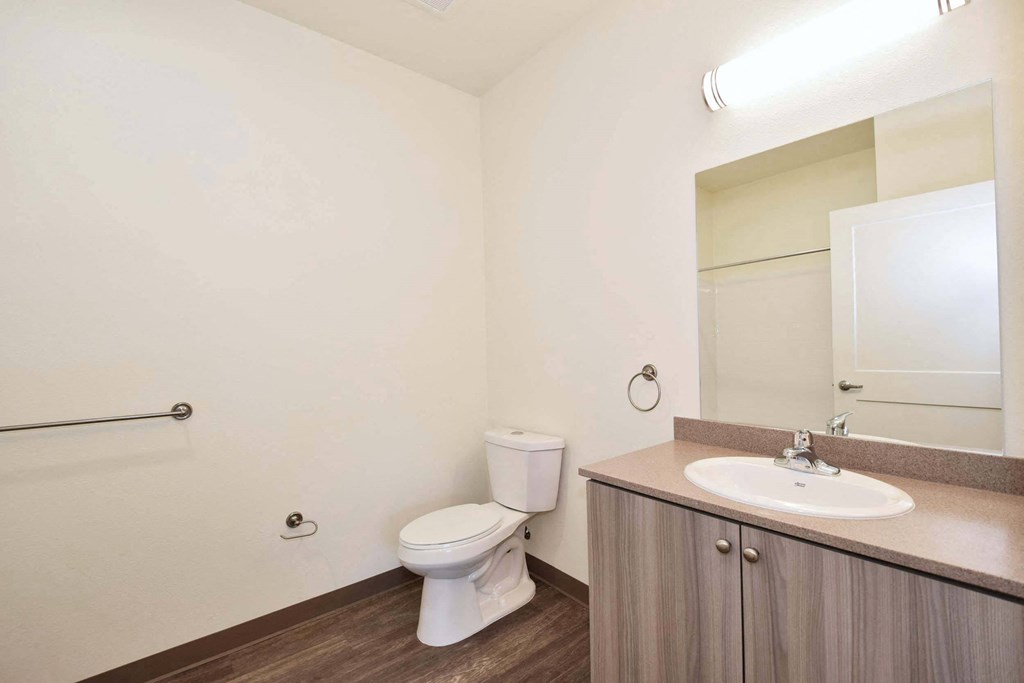 a bathroom with a toilet and a sink and a mirror