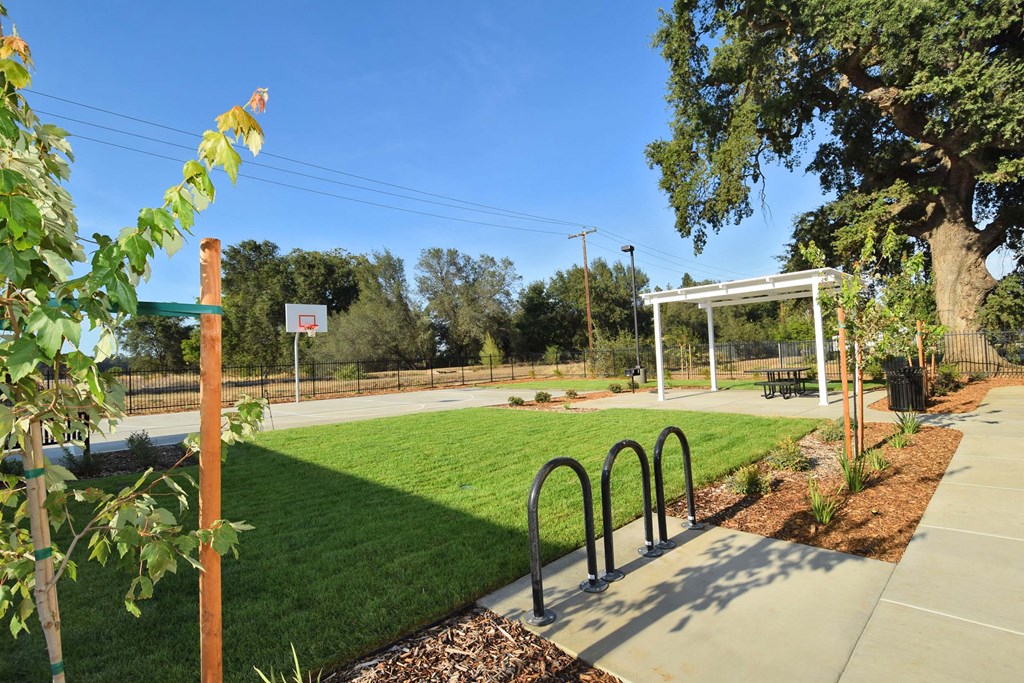 the park has a playground and a basketball court