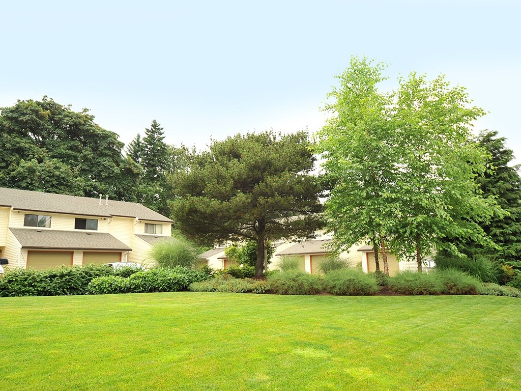 a large lawn in front of a house