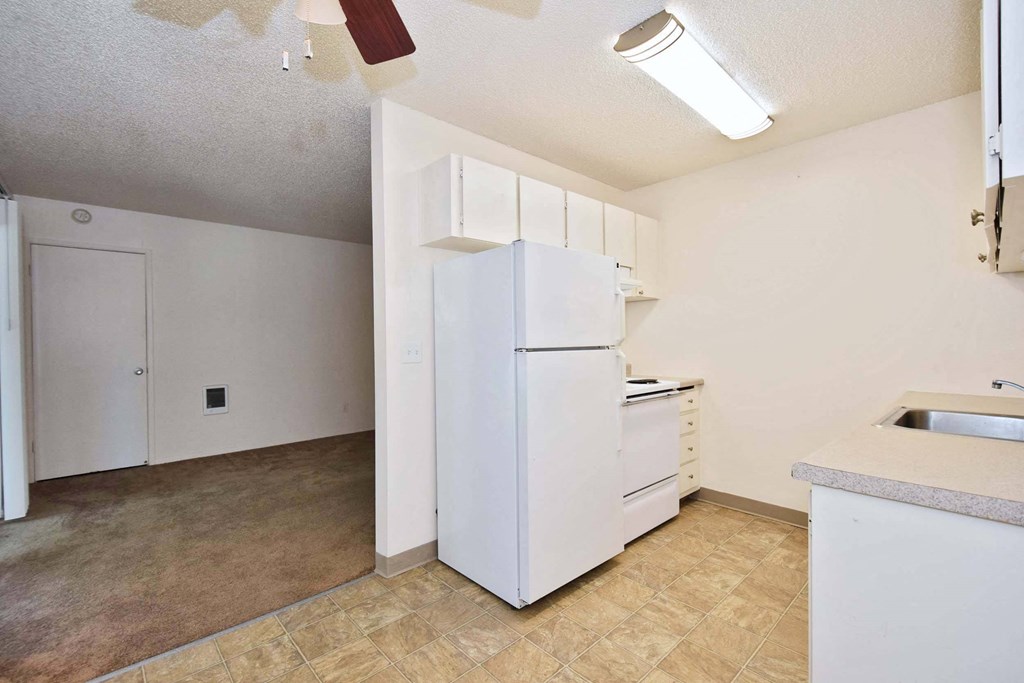 a kitchen with a white refrigerator and a sink