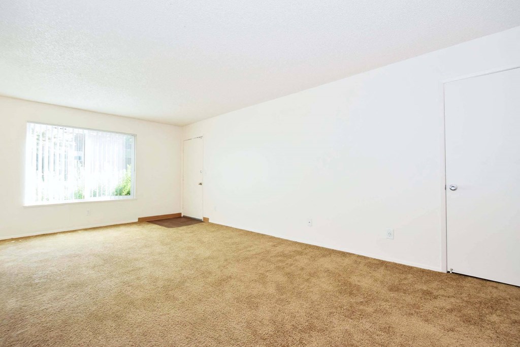 an empty room with carpet and a window