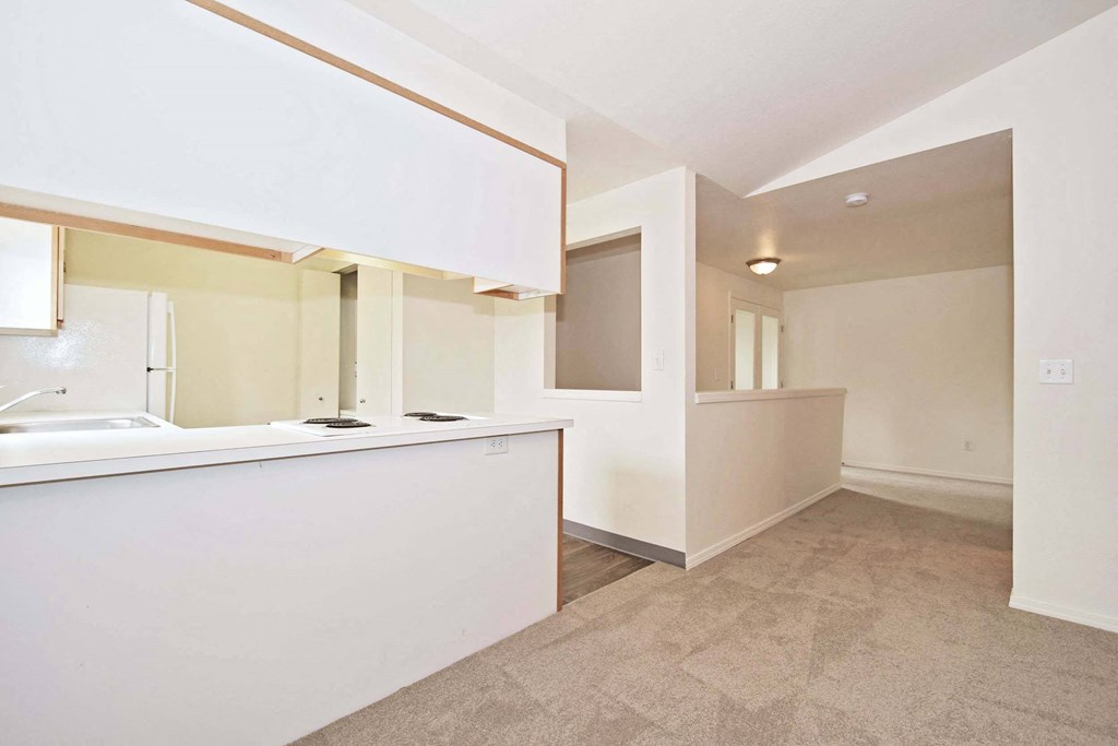 a kitchen with a counter top and a sink