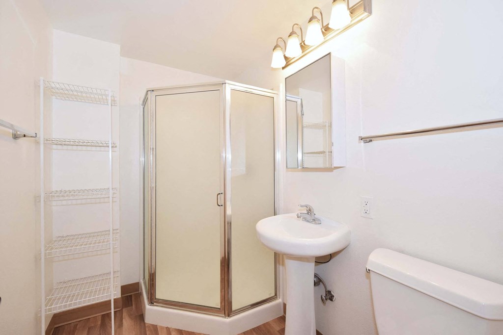 a bathroom with a sink and a shower